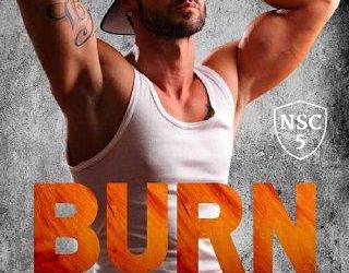 burn for me vi summers