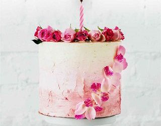 operation bailey piper rayne