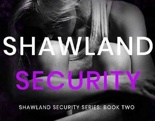 shawland security 2 km lowe