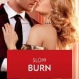 slow burn janice maynard