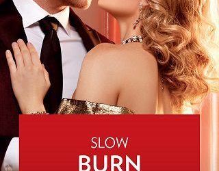 slow burn janice maynard