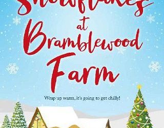 snowflakes abby broomfield