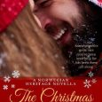 christmas marriage plot austin ryan