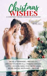 christmas wishes, brie paisley