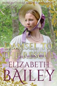 damsel to rescue, elizabeth bailey