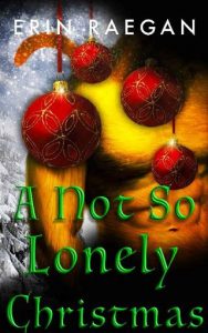 not lonely christmas, erin raegan