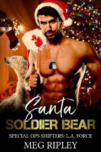 santa soldier, meg ripley
