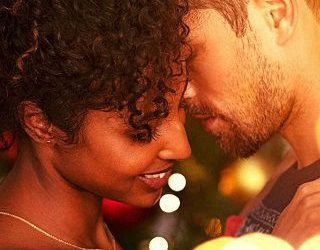 tangle of tinsel shyla colt