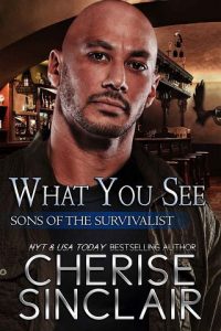 what you see, cherise sinclair