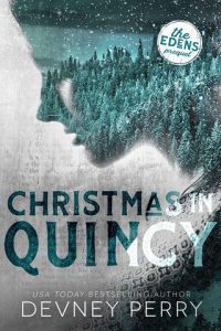 christmas in quincy, devney perry