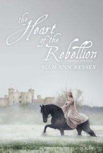 heart of rebellion, sian ann bessey