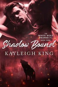 shadow bound, kayleigh king