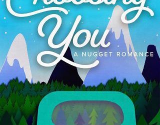 choosing you stacy finz