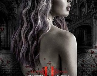 disorder katie lowrie