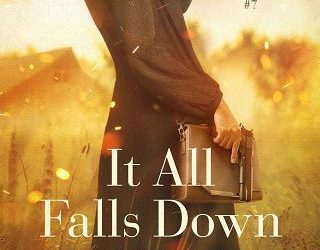 it all falls down denise grover swank