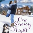 one snowy night patience griffin