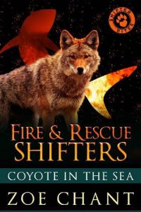 coyote in sea, zoe chant