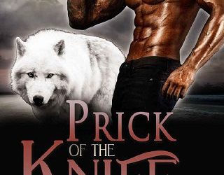 prick of knife rae foxx