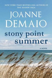 stony point summer, joanne demaio