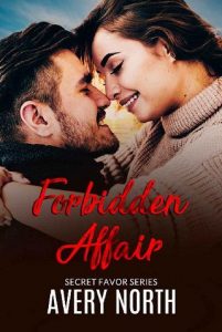 forbidden affair, avery north