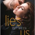 lies between us nikki rose