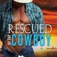 rescued cowboy em petrova