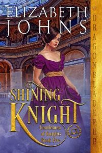 shinning knight, elizabeth johns