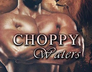 choppy waters lynn hagen