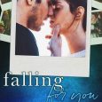 falling for you stacy travis