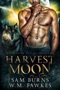 harvest moon, sam burns