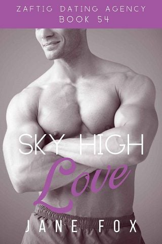 Sky High Love by Jane Fox (ePUB) - The eBook Hunter