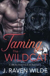 taming wildcat, j raven wilde