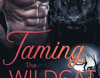 taming wildcat j raven wilde
