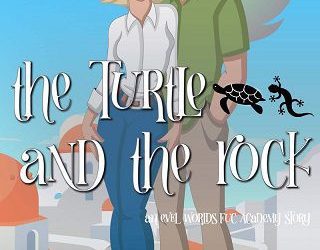 turtle and rock amanda kimberley