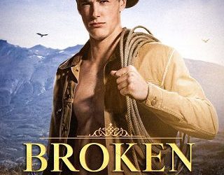 broken cowboy jamie schulz