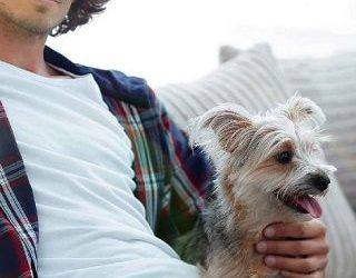 cloud number claire castle