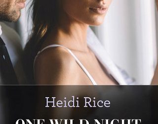 one wild night heidi rice