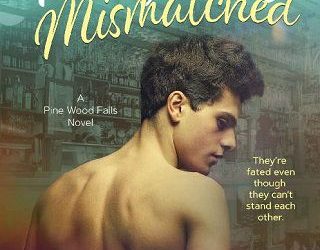 perfectly mismatched sarah haven