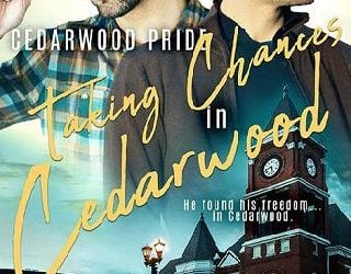 taking chances megan slayer