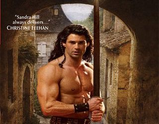 viking's captive sandra hill