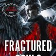 fractured souls ava marie salinger