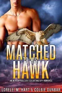 matched to hawk, lorelei m hart