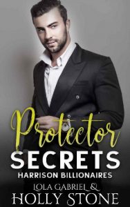 protector secrets, holly stone