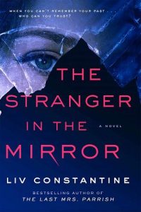 stranger in mirror, liv constantine