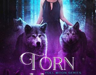 torn mate belle harper