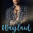 waylaid sarina bowen