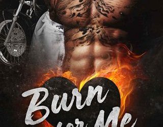 burn for me shae sullivan