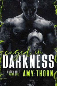 caged darkness, amy thorn