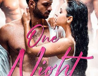 one night ava quinn