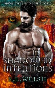 shadowed intentions, se welsh